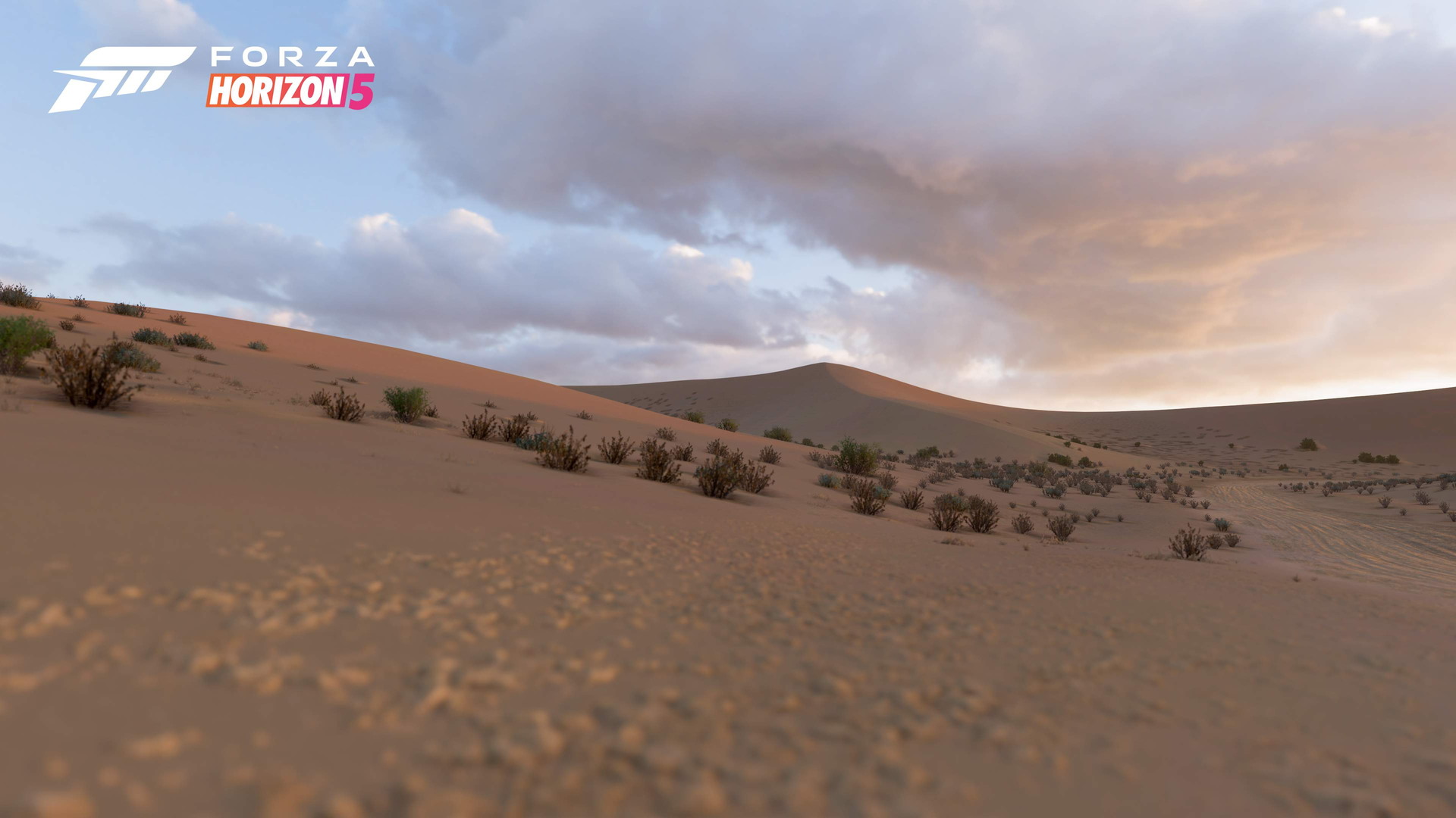 Forza Horizon 5 - screenshot 17