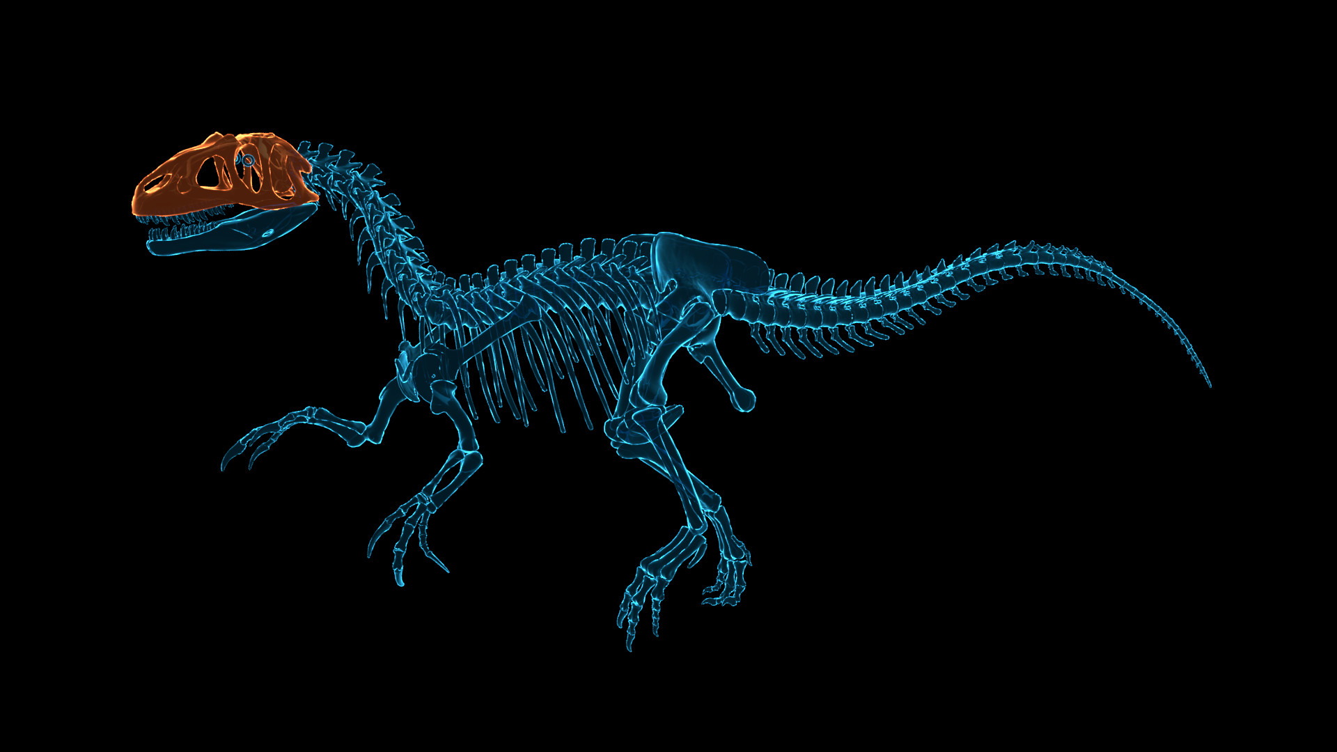 Dinosaur Fossil Hunter - screenshot 2