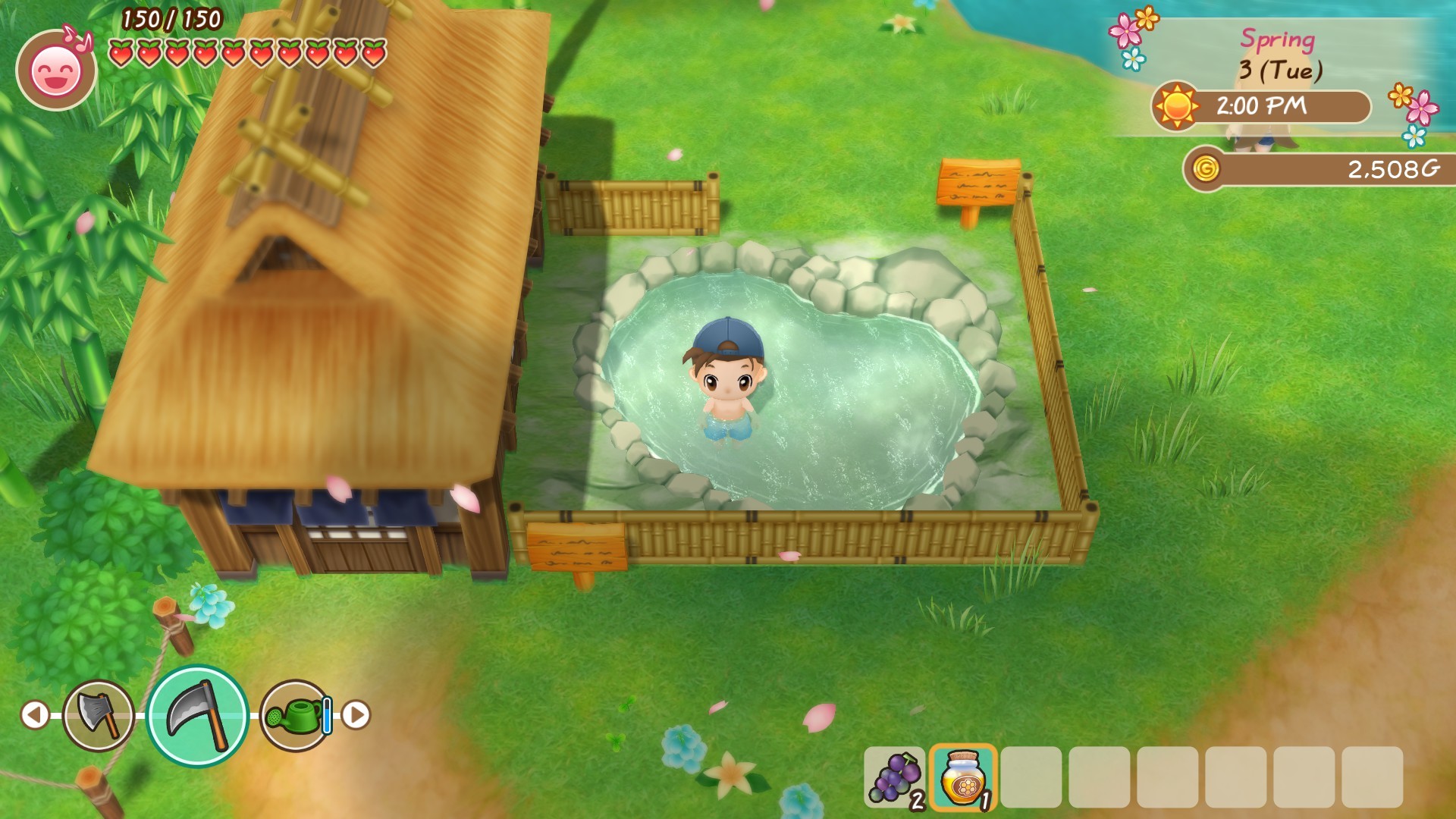 Story of Seasons: Friends of Mineral Town - screenshot 10