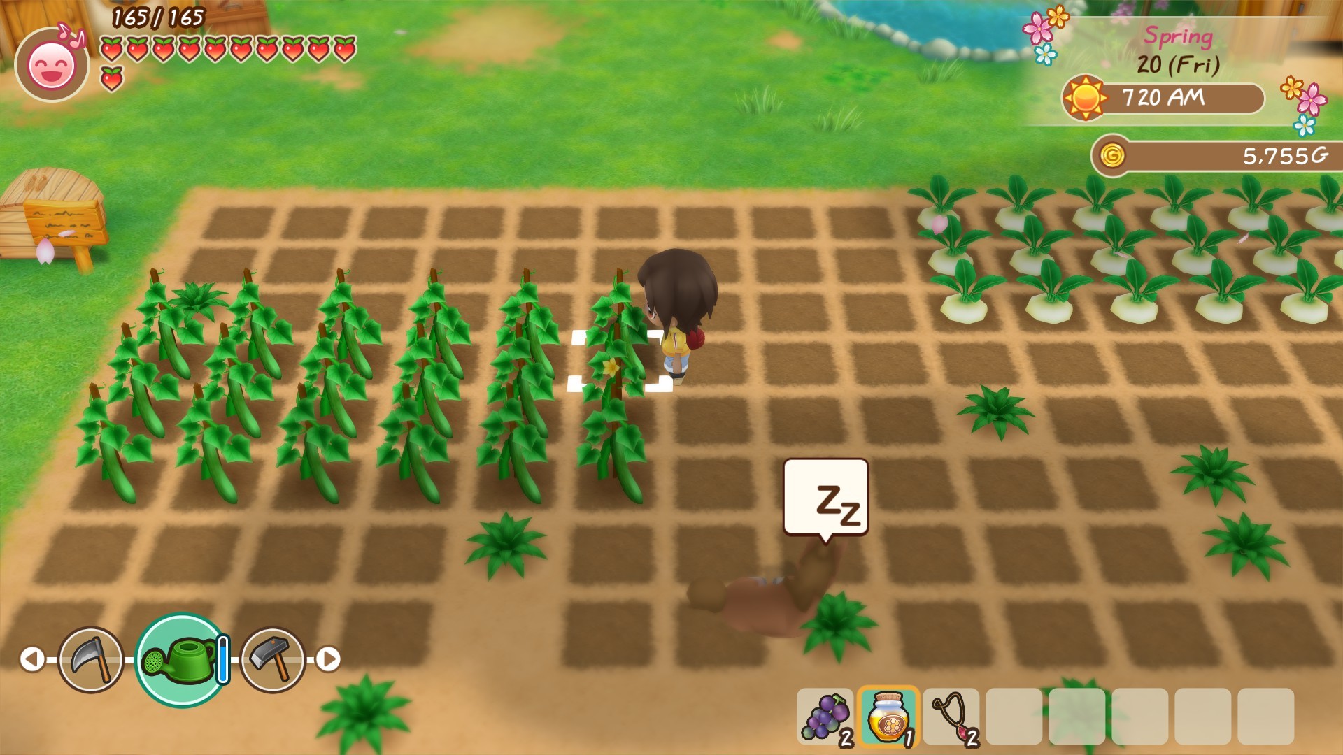 Story of Seasons: Friends of Mineral Town - screenshot 7