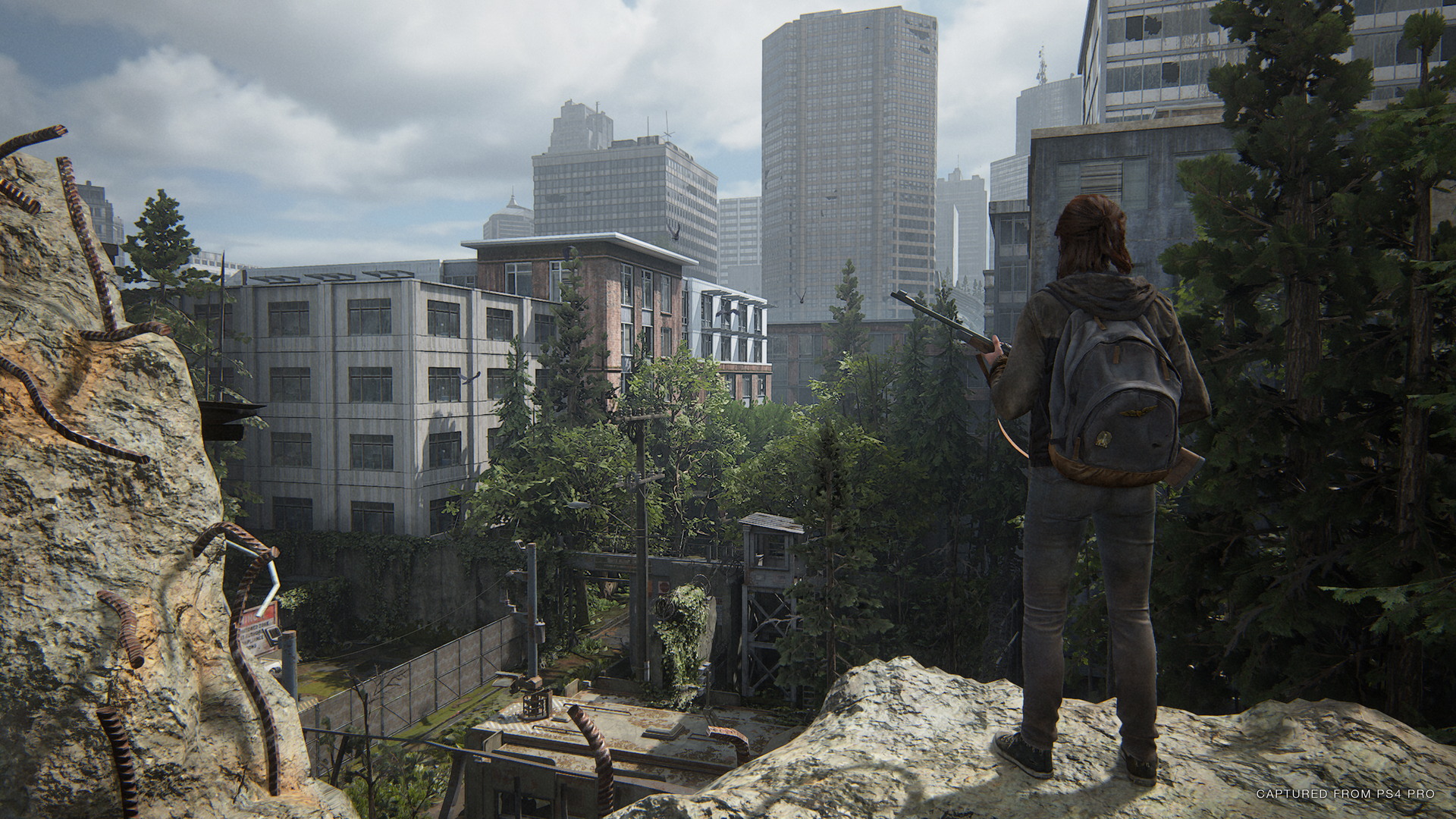 The Last of Us Part II - screenshot 41