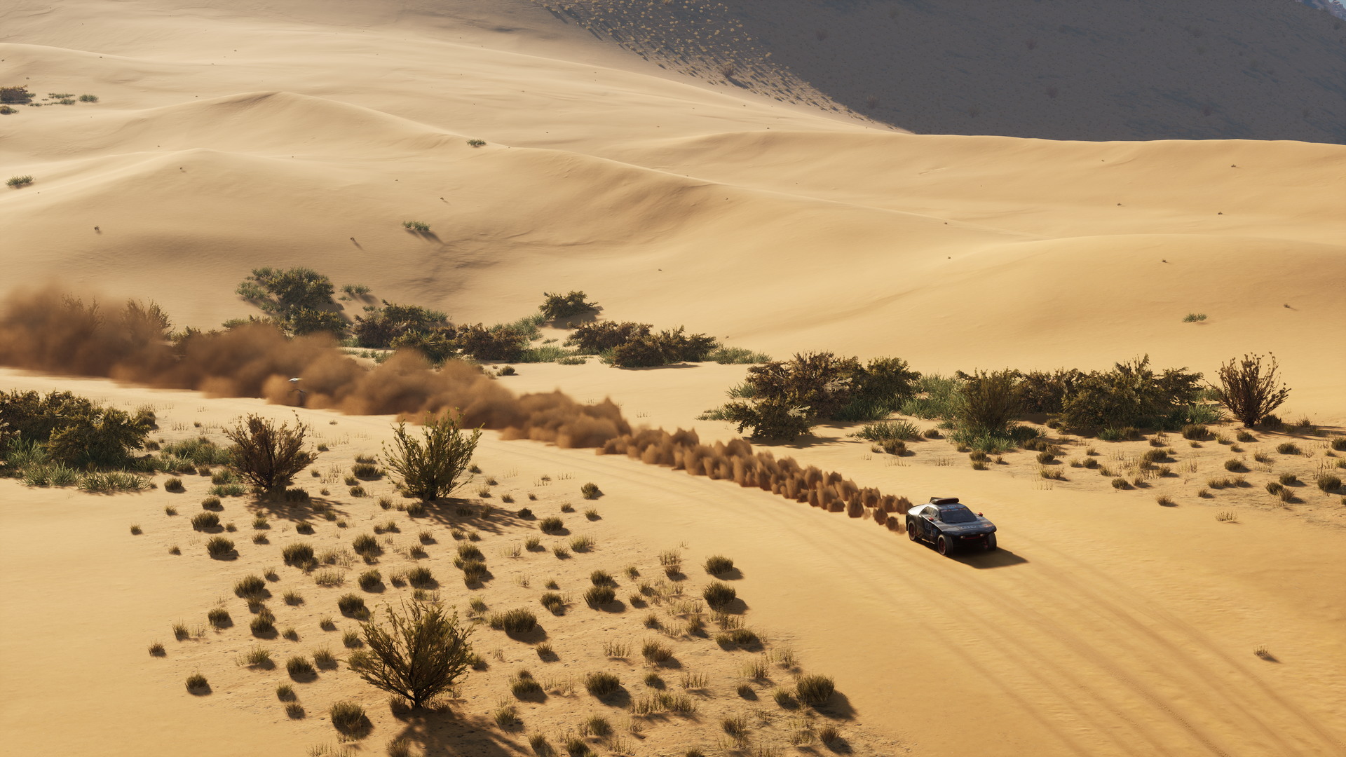 Dakar: Desert Rally - screenshot 4