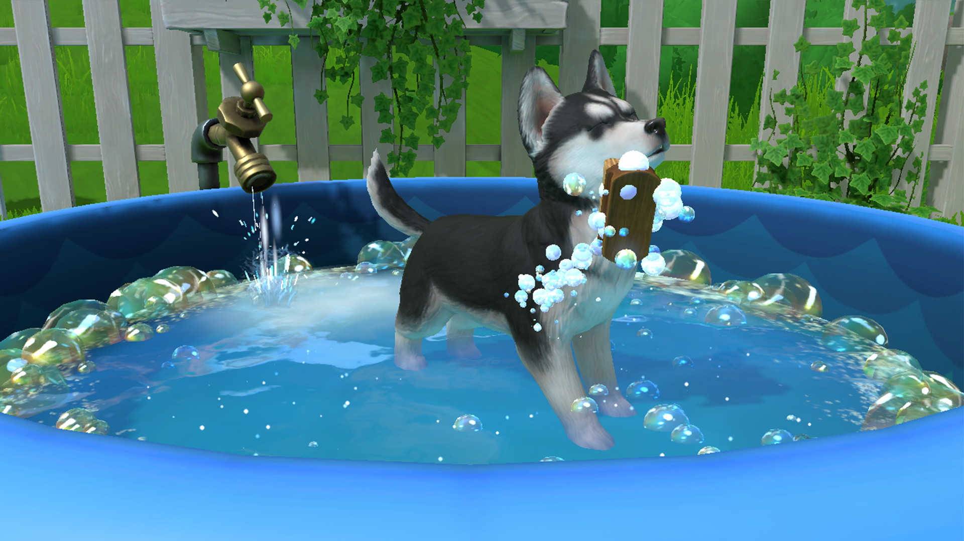 Little Friends: Puppy Island - screenshot 1