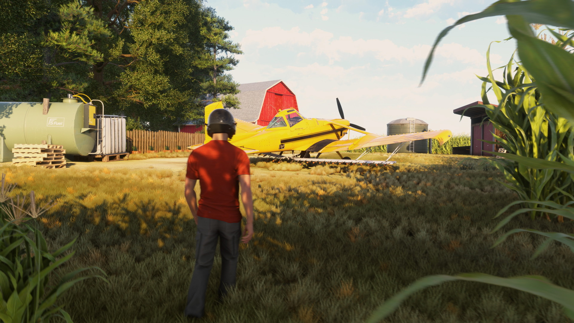 Microsoft Flight Simulator 2024 - screenshot 6
