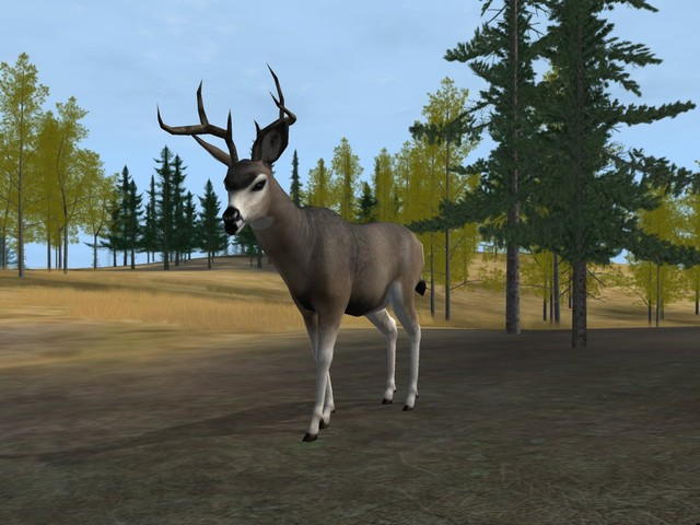 Deer Hunter 2004 - screenshot 44