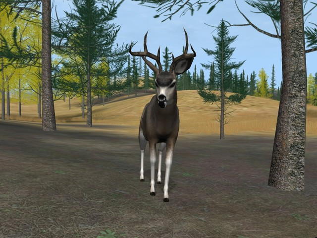 Deer Hunter 2004 - screenshot 43