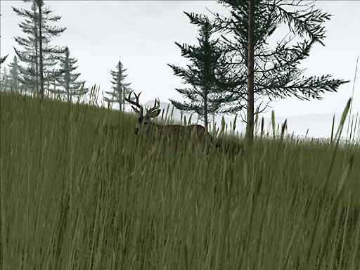 Deer Hunter 2004 - screenshot 38