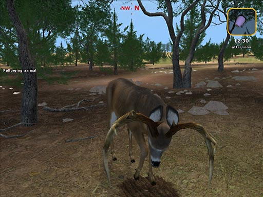 Deer Hunter 2004 - screenshot 29