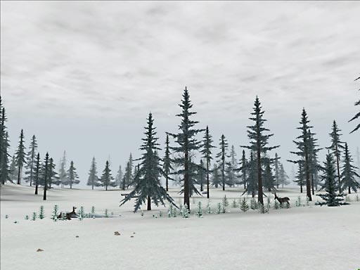 Deer Hunter 2004 - screenshot 22