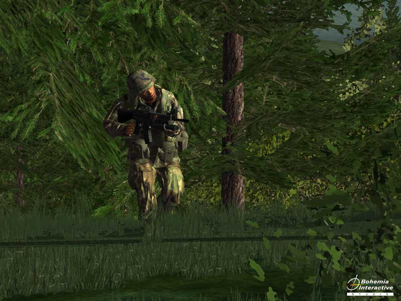 ArmA: Armed Assault - screenshot 74