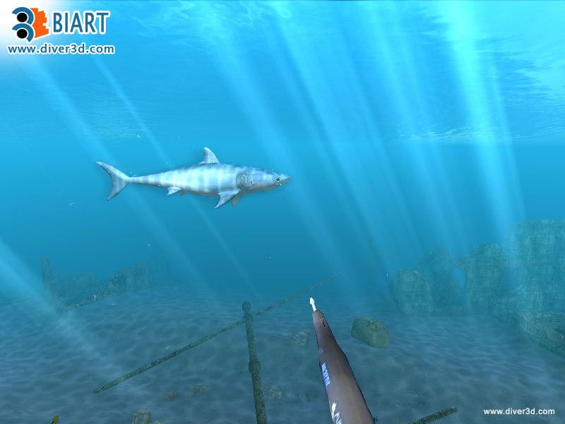 Diver: Deep Water Adventures - screenshot 196