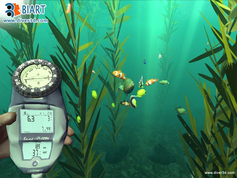 Diver: Deep Water Adventures - screenshot 186