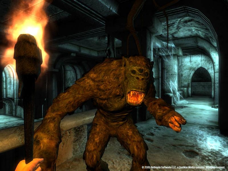 The Elder Scrolls 4: Oblivion - screenshot 18