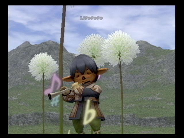 Final Fantasy XI: Online - screenshot 16