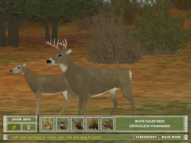 Hunting Unlimited - screenshot 2