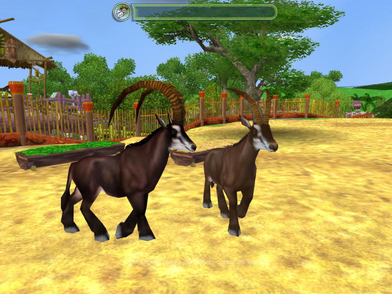 Zoo Tycoon 2: Endangered Species - screenshot 1