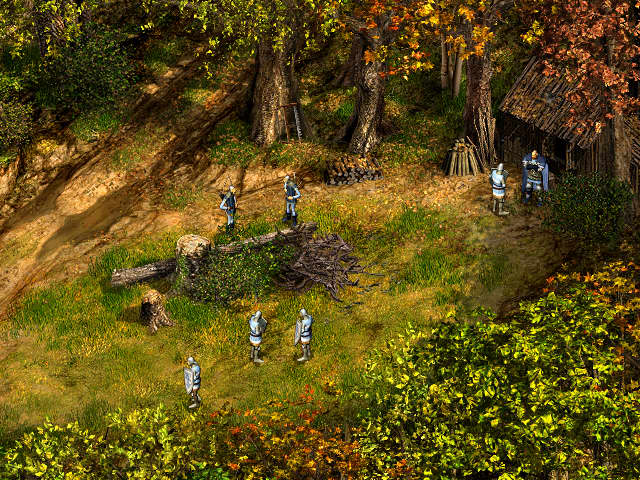 Robin Hood: The Legend of Sherwood - screenshot 9