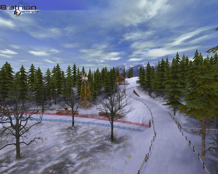 Biathlon 2006 - Go for Gold - screenshot 10