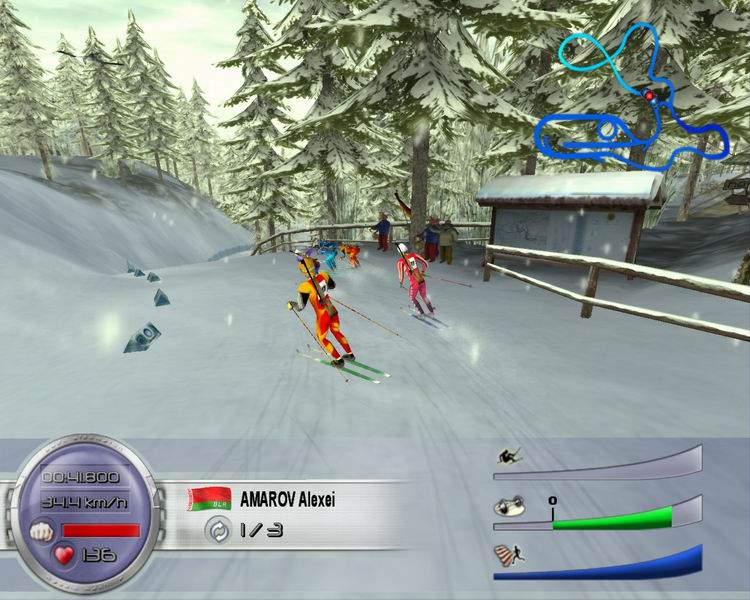 Biathlon 2006 - Go for Gold - screenshot 1