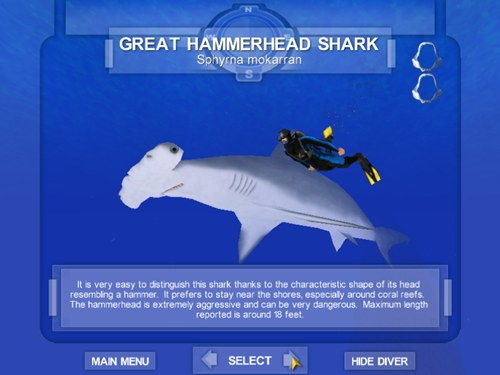 Shark! Hunting The Great White - screenshot 16