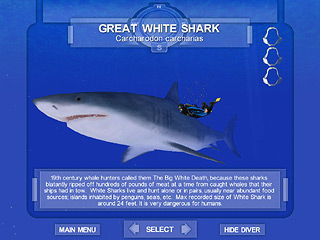 Shark! Hunting The Great White - screenshot 1