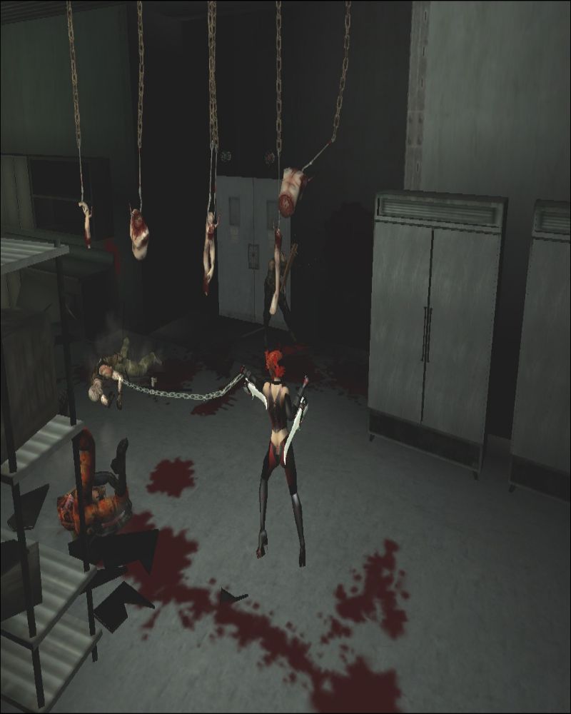 BloodRayne 2 - screenshot 38