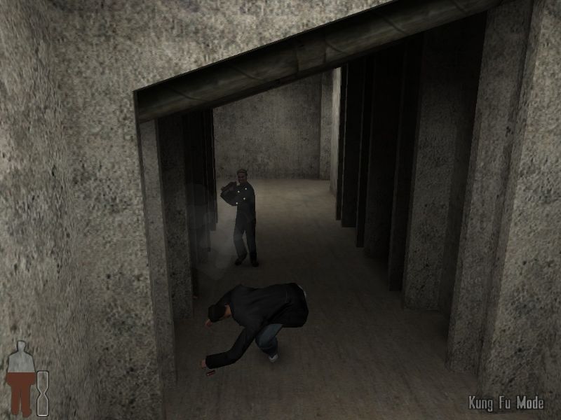 Max Payne: Kung Fu Edition - screenshot 6
