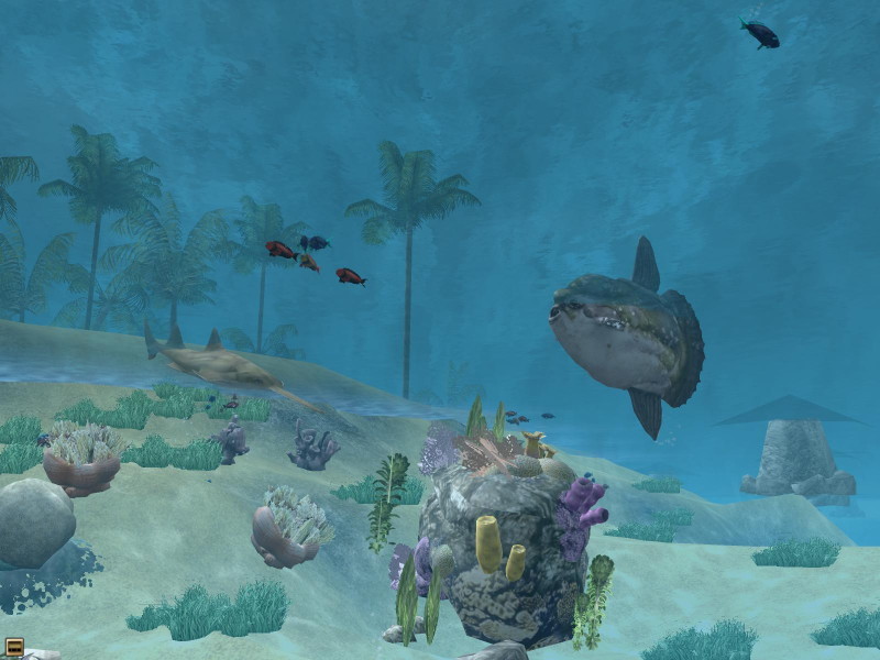 Wildlife Park 2: Marine World - screenshot 8