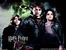 Harry Potter and the Goblet of Fire - wallpaper #7
