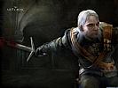 The Witcher - wallpaper #12