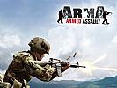ArmA: Armed Assault - wallpaper #1