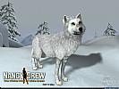 Nancy Drew: The White Wolf of Icicle Creek - wallpaper