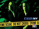 CSI: NY - wallpaper