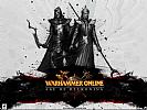 Warhammer Online: Age of Reckoning - wallpaper #5