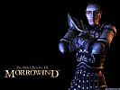 The Elder Scrolls 3: Morrowind - wallpaper