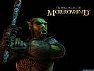 The Elder Scrolls 3: Morrowind - wallpaper #4
