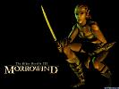 The Elder Scrolls 3: Morrowind - wallpaper #6