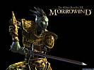 The Elder Scrolls 3: Morrowind - wallpaper #10