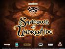 Neverwinter Nights: Shadows of Undrentide - wallpaper