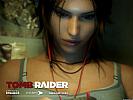 Tomb Raider - wallpaper #4