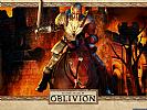 The Elder Scrolls 4: Oblivion - wallpaper #3