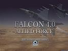 Falcon 4.0: Allied Force - wallpaper #2