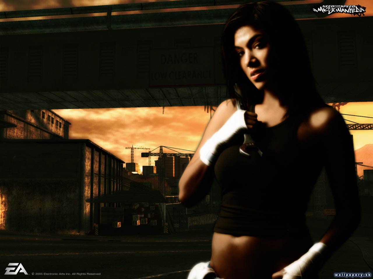 Need for Speed: Most Wanted - wallpaper 18