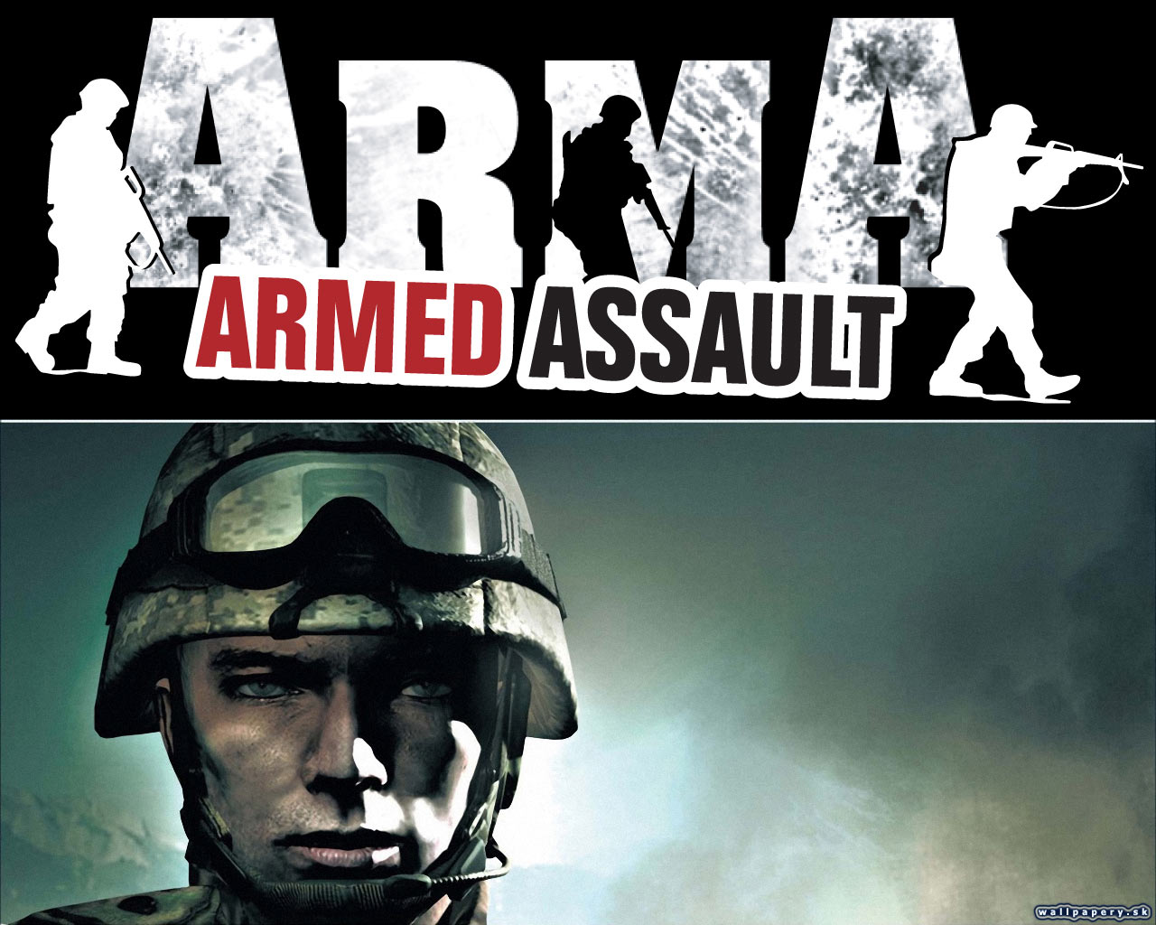 ArmA: Armed Assault - wallpaper 4