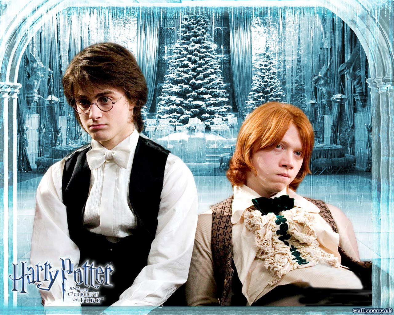 Harry Potter and the Goblet of Fire - wallpaper 22