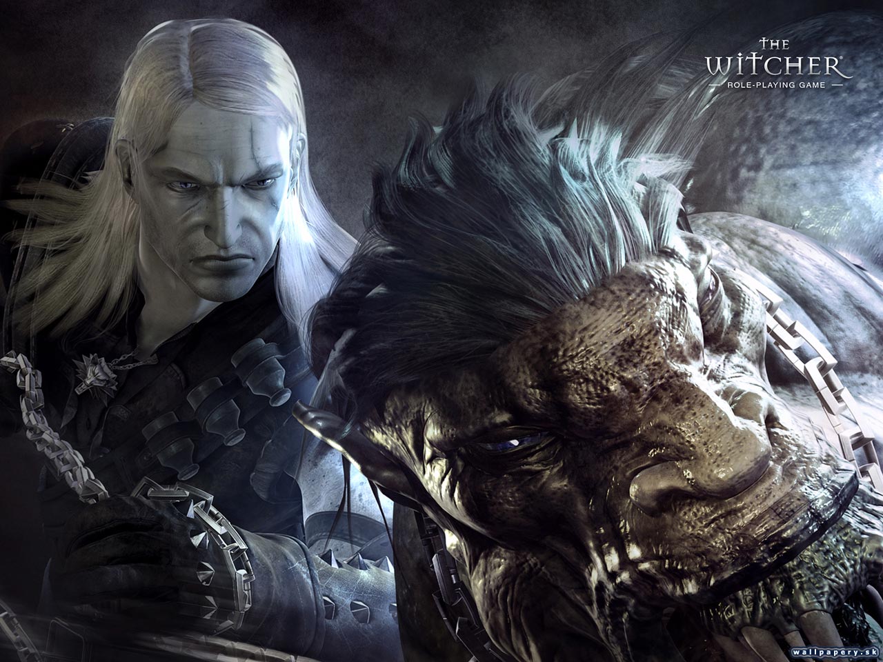 The Witcher - wallpaper 28