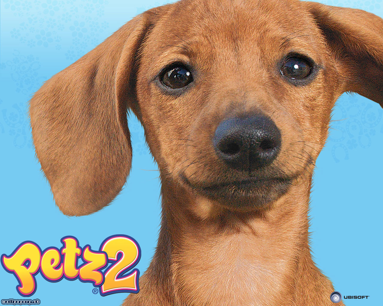 Petz: Dogz 2 - wallpaper 2