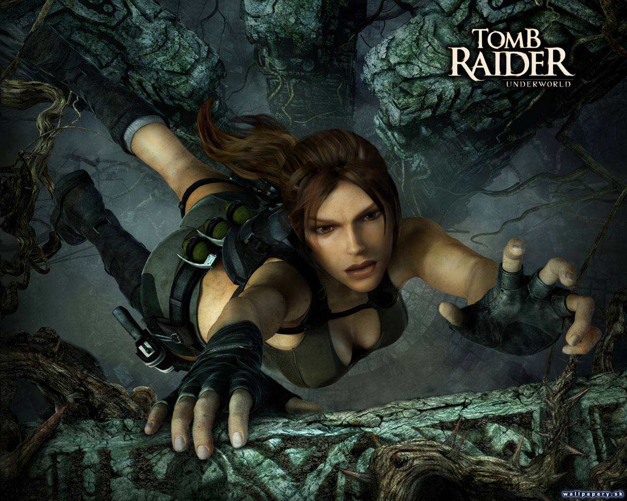 Tomb Raider: Underworld - wallpaper 1