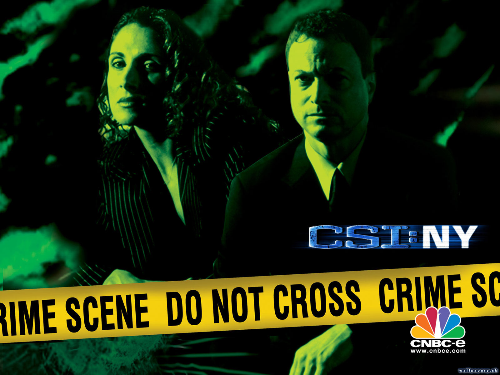 CSI: NY - wallpaper 1