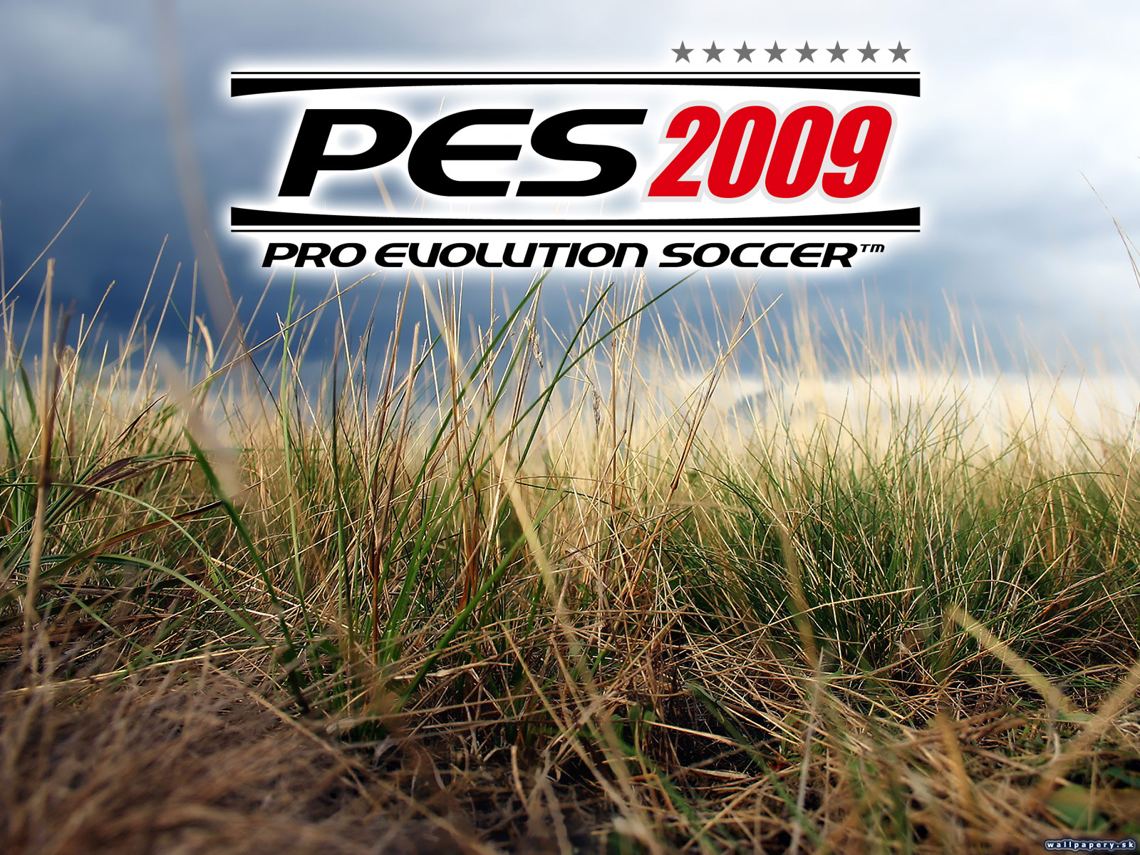 Pro Evolution Soccer 2009 - wallpaper 3